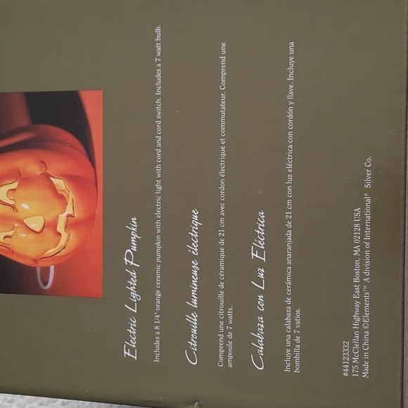 Electric Lighted Pumpkin - Picture 4 of 10